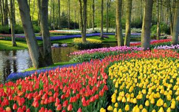 spring scene